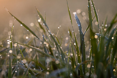 Similar image 673454