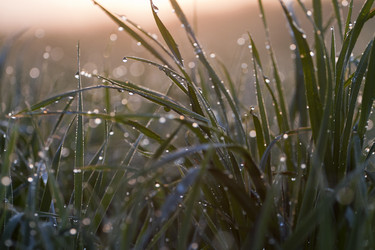 Similar image 673455