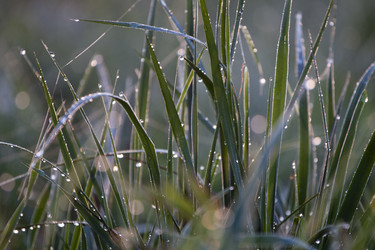 Similar image 673457