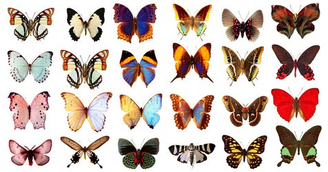 Similar image 673466