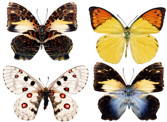 Similar image 673467