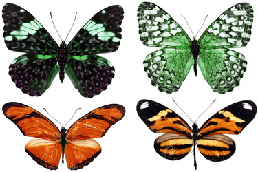 Similar image 673468