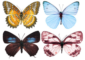 Similar image 673469