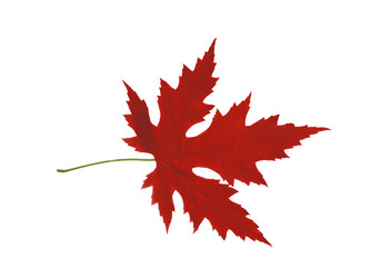 Similar image 673472