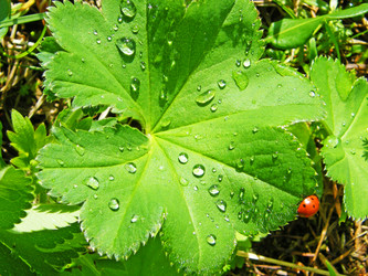 Similar image 673475