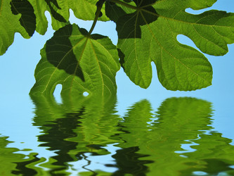 Similar image 673477