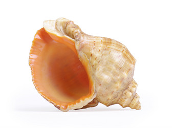 Similar image 673538