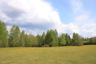 Similar image 673615