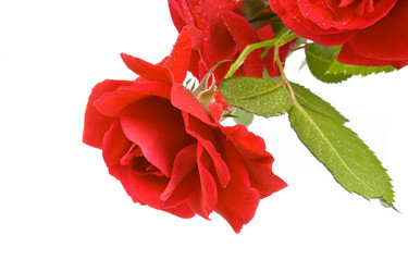 Similar image 673701