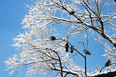 Similar image 673719