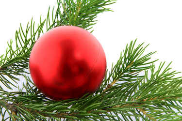 Similar image 673732