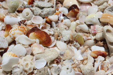 Similar image 673736