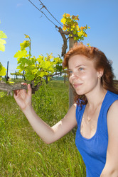 Similar image 673779