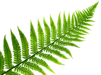 Similar image 673802