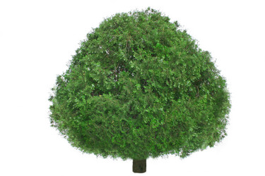 Similar image 673809