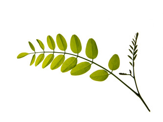 Similar image 673811