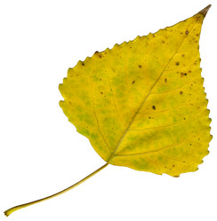 Similar image 673813