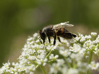 Similar image 673830