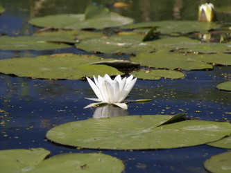 Similar image 673836