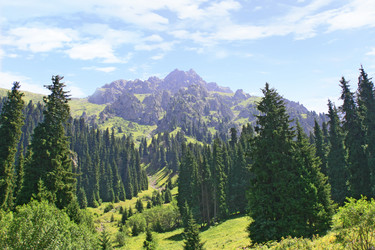 Similar image 673845