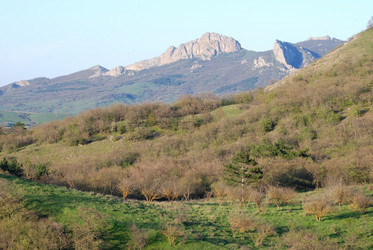 Similar image 673857