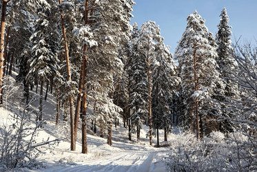 Similar image 673874