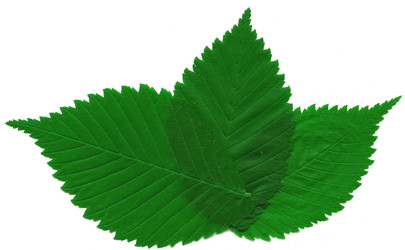 Similar image 673880