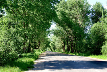 Similar image 673903