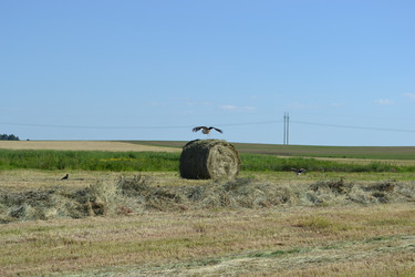 Similar image 673913