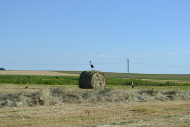 Similar image 673916