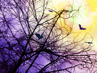 Similar image 673929