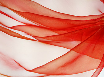 Similar image 673934