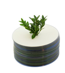 Similar image 673946