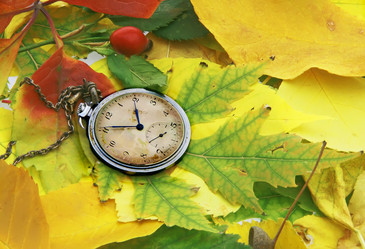 Similar image 673967