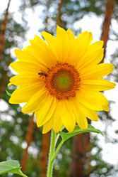 Similar image 673968