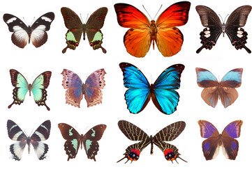 Similar image 673972