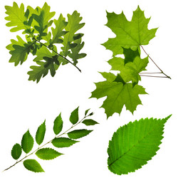 Similar image 673976