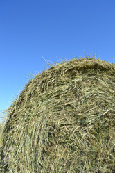 Similar image 673979