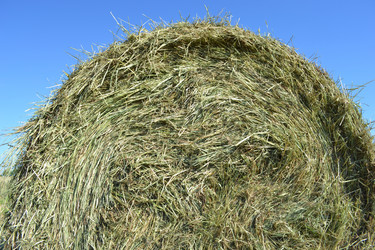 Similar image 673980