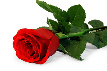 Similar image 673989