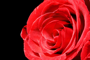 Similar image 673993