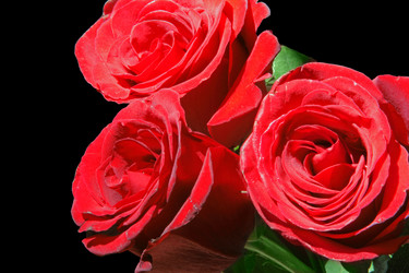 Similar image 673994