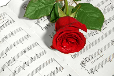 Similar image 673997