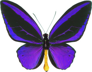 Similar image 673999