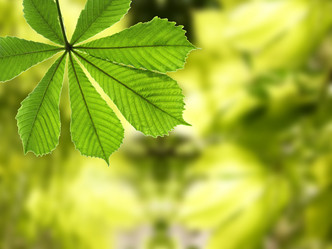 Similar image 674005