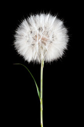 Similar image 674007