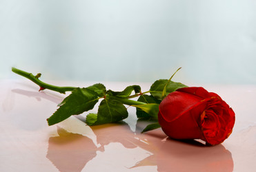 Similar image 674014