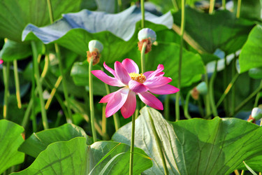 Similar image 674085