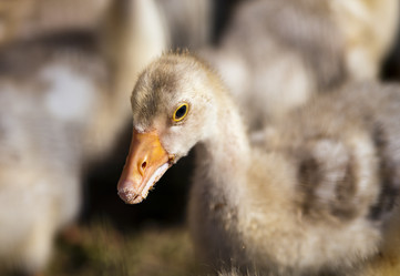 Similar image 674100