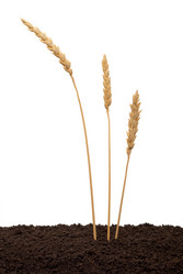 Similar image 674126